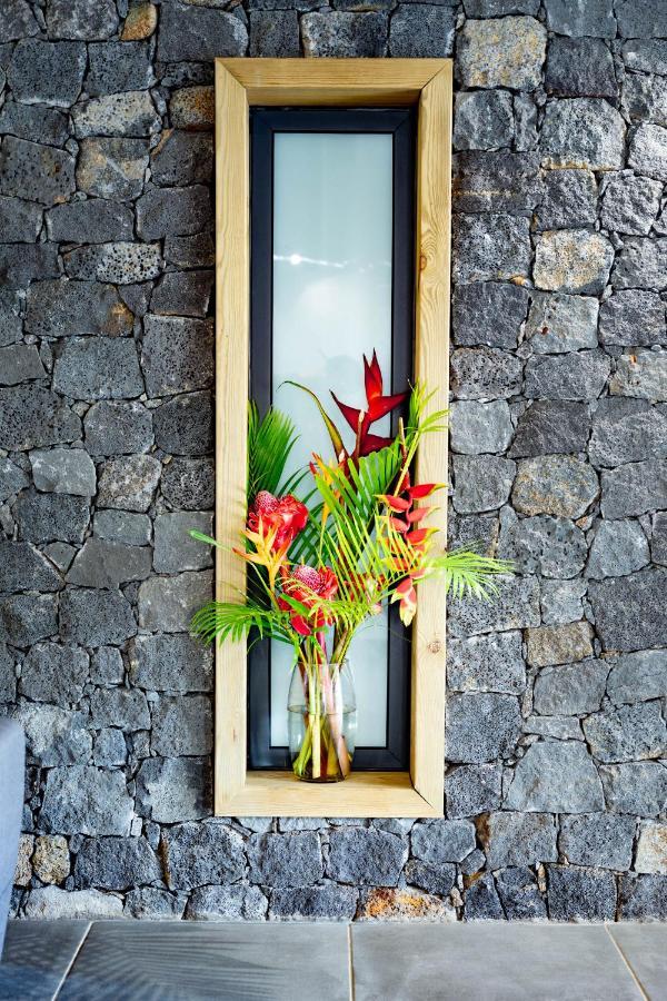 Villa Fleur De Jade سانت لويس المظهر الخارجي الصورة